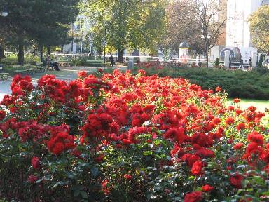IMG_0260.JPG